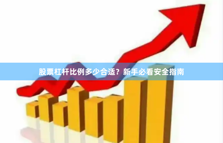 股票杠杆比例多少合适？新手必看安全指南