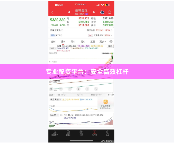 专业配资平台:安全高效杠杆