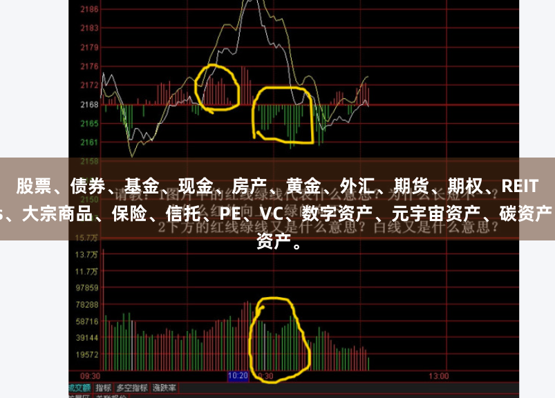 股票、债券、基金、现金、房产、黄金、外汇、期货、期权、REITs、大宗商品、保险、信托、PE、VC、数字资产、元宇宙资产、碳资产。