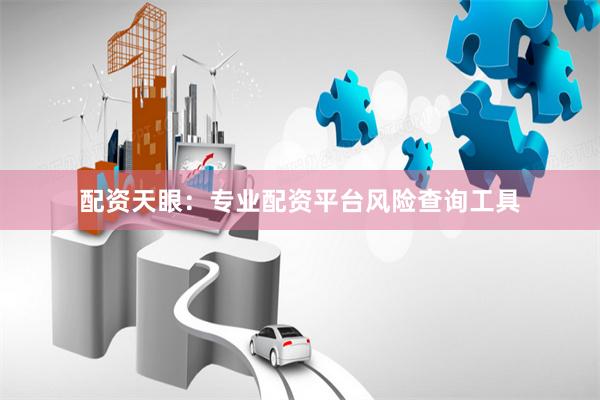 配资天眼：专业配资平台风险查询工具